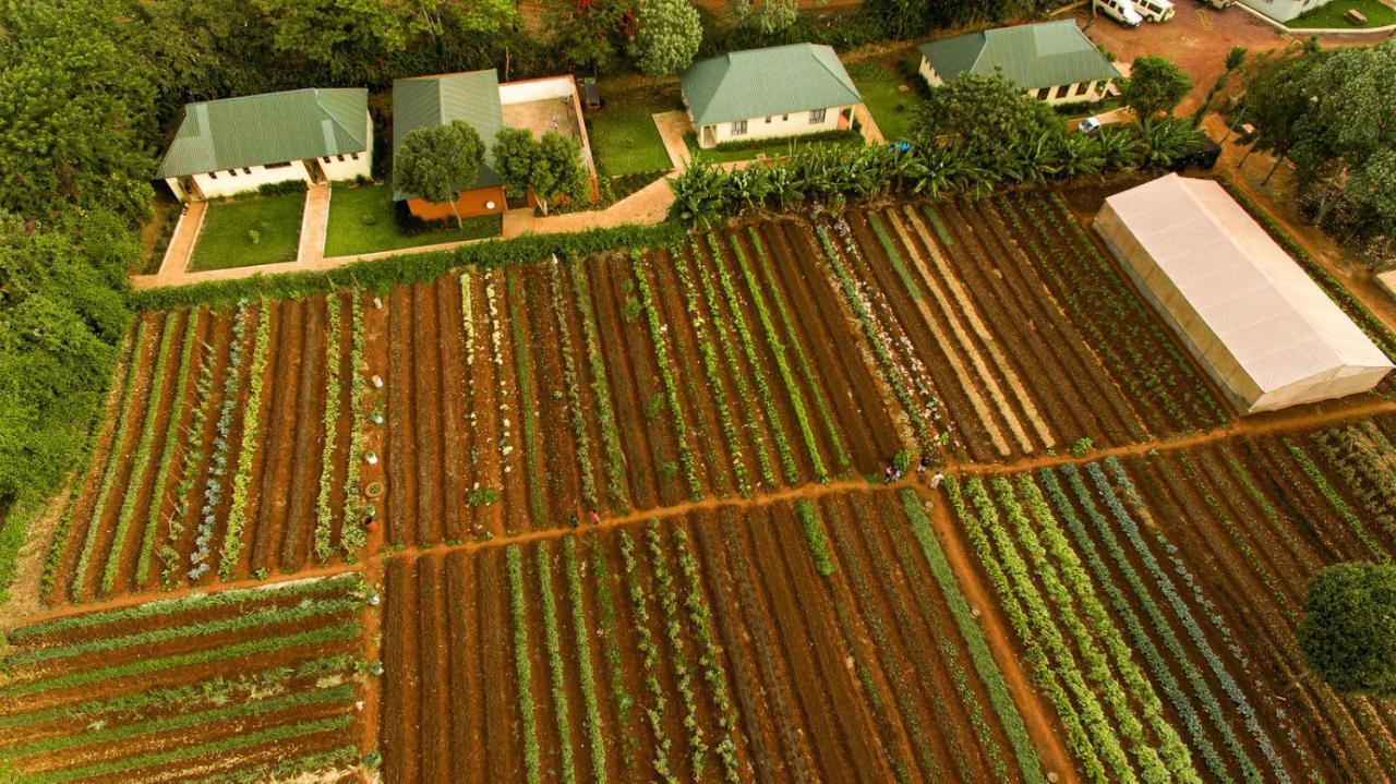 Acacia Farm Lodge Ngorongoro Exterior photo